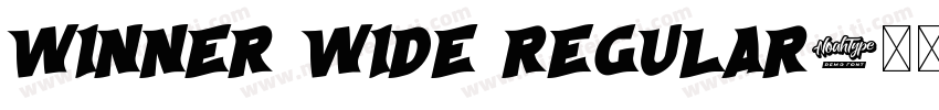 Winner Wide Regular字体转换